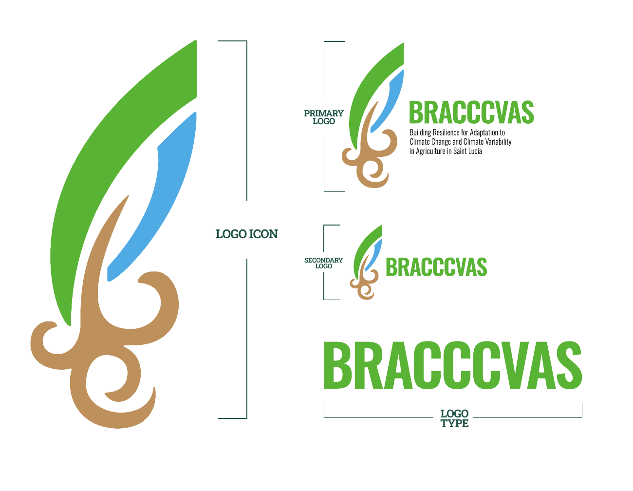 Original BRACCCVAS brand-guide page showing the logo icon, primary logo, secondary logo and logotype.